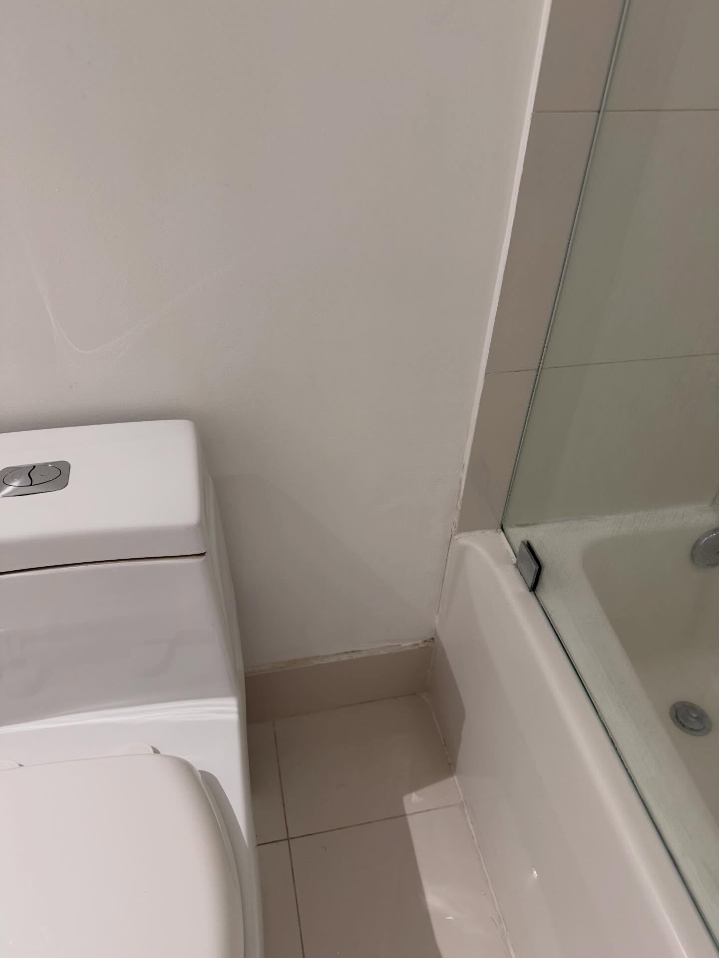 Refreshed tub and tile